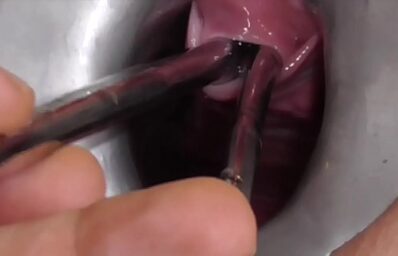 Futanari urethra