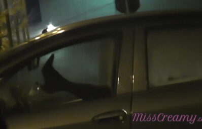 Mulher transando no carro