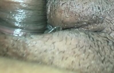 Panteras a cunhada